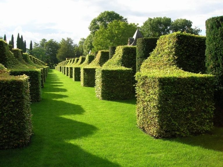 Jardín Francés 】 Característica, Historia, Tipo de Plantas 2019 Jardín Francés 】 Característica, Historia, Tipo de Plantas 2019
