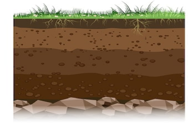 ¿Cómo está compuesto el suelo?