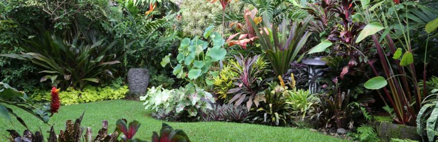 como hacer un jardín tropical