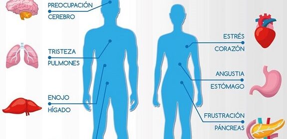 conexión entre tus emociones y los órganos