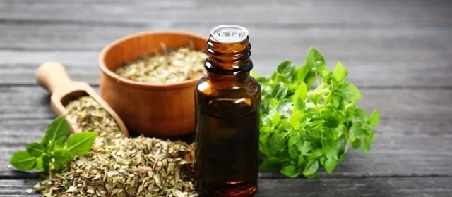 aceite de orégano para las infecciones de oído